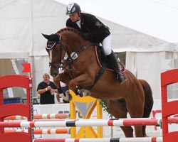 Das erfolgreichste Pferd von Thomas Kleis, der die Pferdesportarena Schloss Wendorf vertritt, ist gegenwärtig Questa Vittoria (v. Quidams Rubin). Foto: Jutta Wego